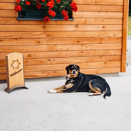 Lunz Am Domek alpejski Lunz am See