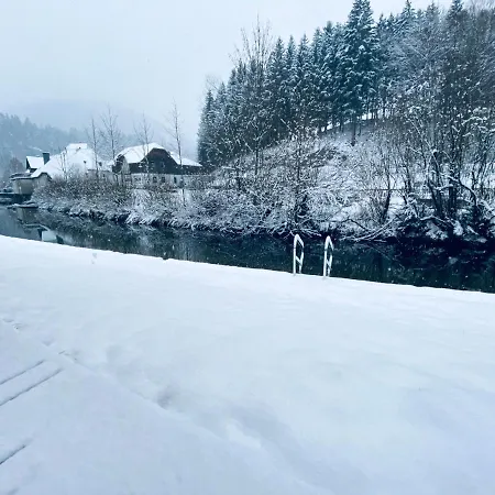 Chalet Lunz Am Lunz am See
