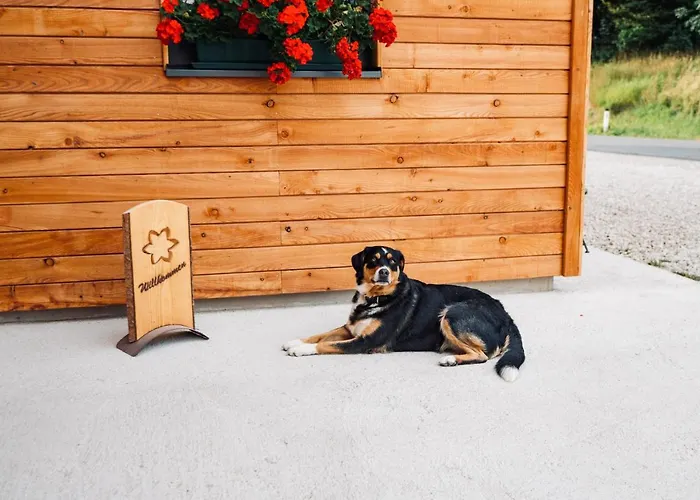 Lunz Am Chalet Lunz am See